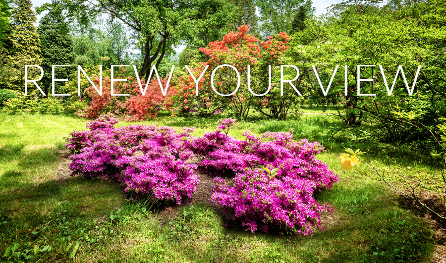 renew your view with cornerstone xt replacement windows