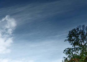 renew your view with cornerstone xt replacement windows